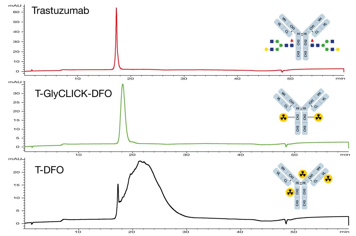 GlyCLICK Technology In Vivo fig 3