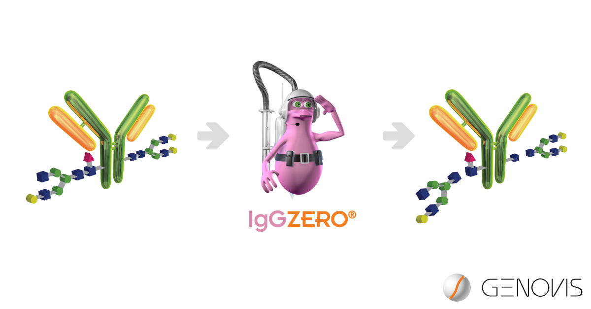 IgGZERO-glycation