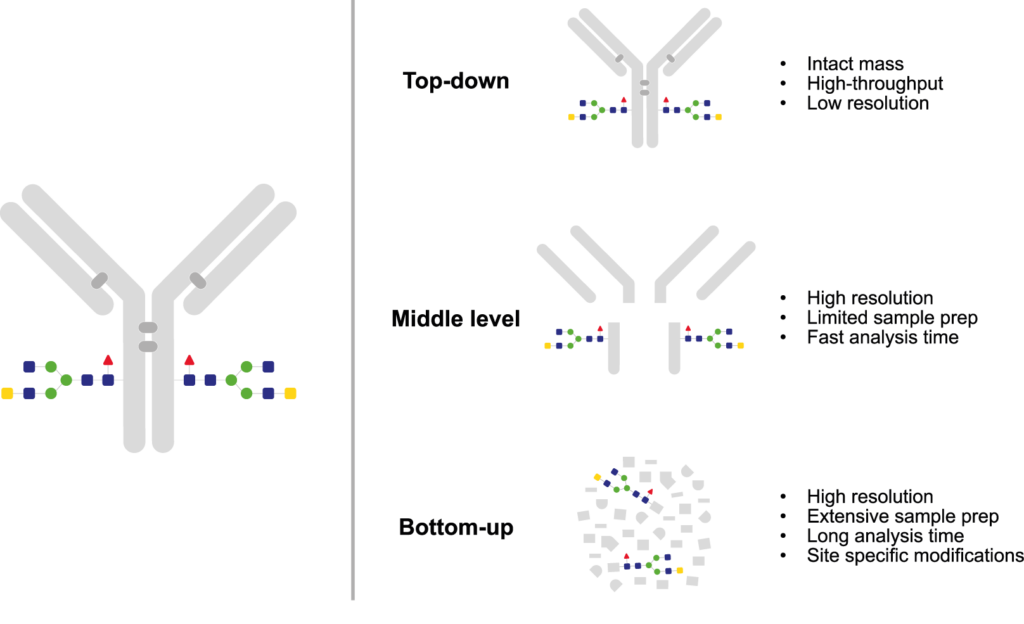 Three established strategies LC-MS