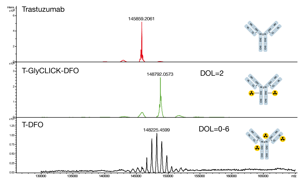 In Vivo GlyCLICK