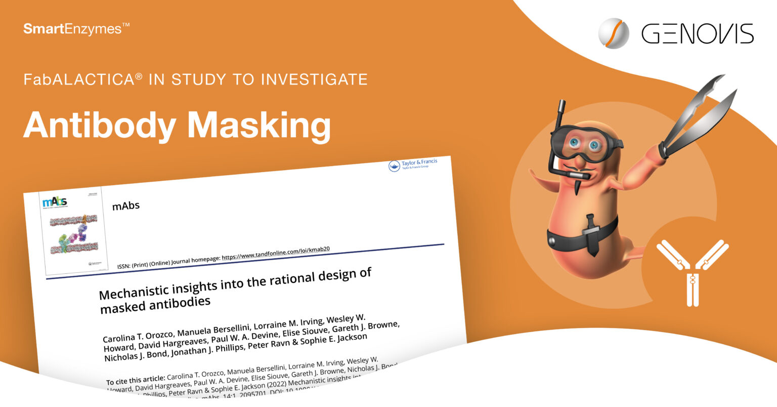 Mechanistic Insights to Drive Rational Design of Masked Antibodies ...