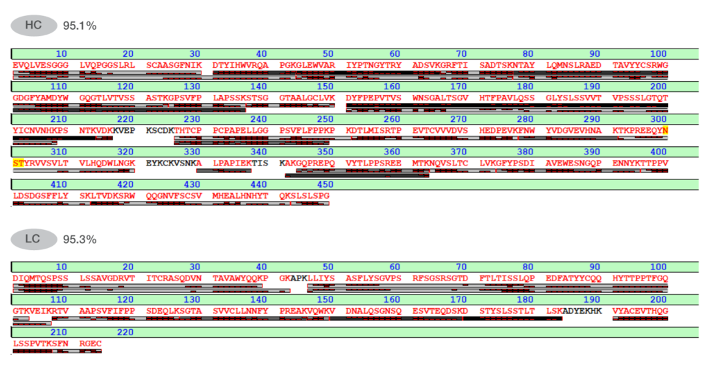 pplication-lyscerator-hIgG1-hc-lc-pepmap