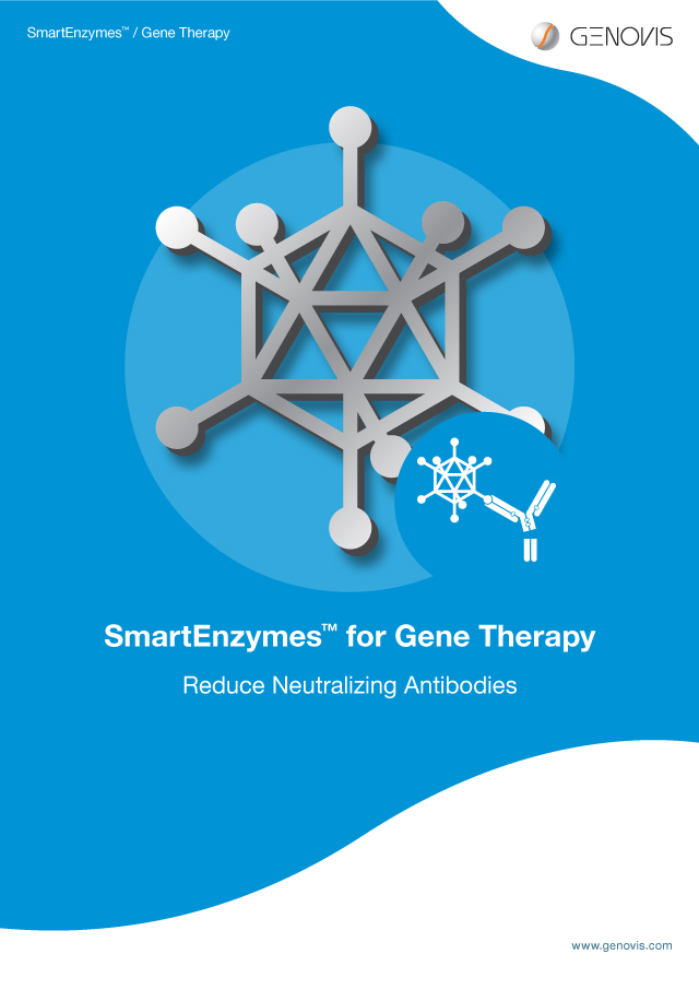 SmartEnzymes for Gene Therapy