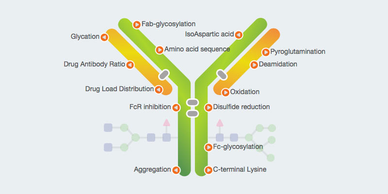 Smart Enzyme Reference Tool