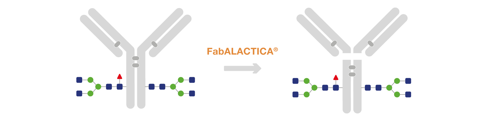 FabALACTICA workflow