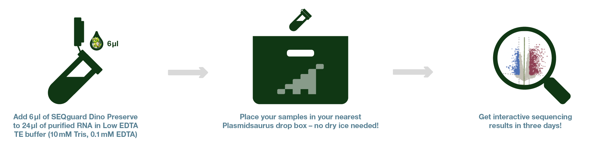 SEQguard Dino Preserve workflow